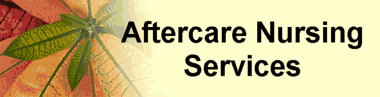 Contoso Hospital Intranet Site